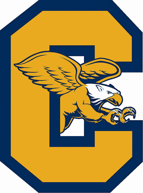Canisius Golden Griffins 2006-Pres Alternate Logo iron on transfers for fabric